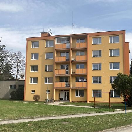 Apartman Ve Velkych Losinach Velke Losiny Bagian luar foto