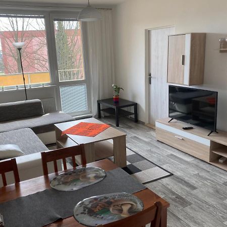 Apartman Ve Velkych Losinach Velke Losiny Bagian luar foto